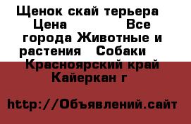 Щенок скай терьера › Цена ­ 20 000 - Все города Животные и растения » Собаки   . Красноярский край,Кайеркан г.